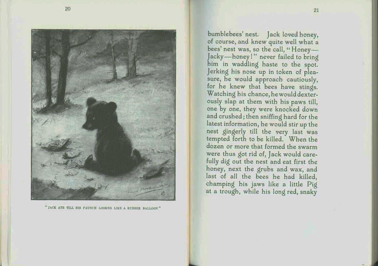 MONARCH, the Big Bear of Tallac in the Lake Tahoe High Sierra.&nbsp;vist0040d